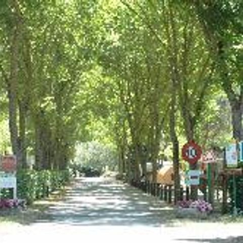 STAANPLAATS - Standaard comfortplaats met 10A elektriciteit