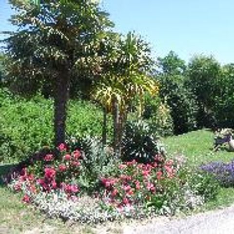 STAANPLAATS - Standaard comfortplaats met 10A elektriciteit