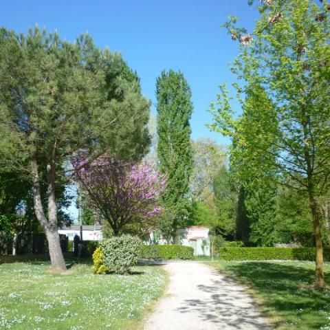 Stellplatz - Natur (Ohne Strom) in Standardgröße