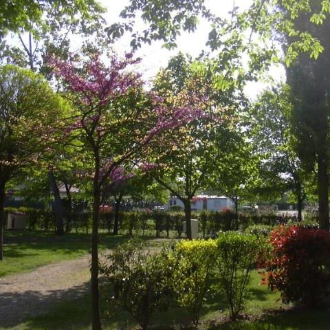 Stellplatz - Natur (Ohne Strom) in Standardgröße