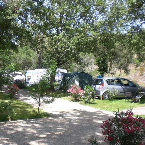 PLOT - 1 car + tent/caravan or camper van