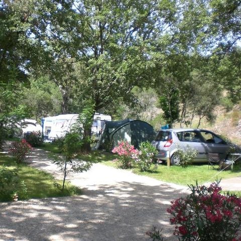 PARCELA - 1 coche + tienda/caravana o autocaravana