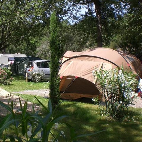 STAANPLAATS - 1 auto + tent/caravan of camper