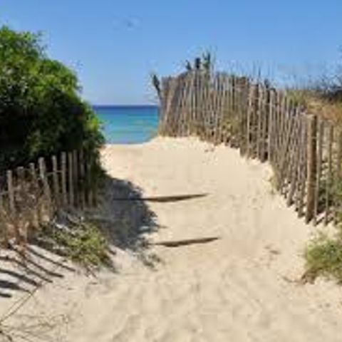Camping Charlemagne Camping Charlemagne - Camping Var - Image N°31
