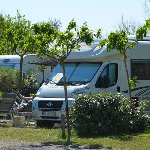 Pitch - Standard – Caravan, motorhome or tent – with electricity