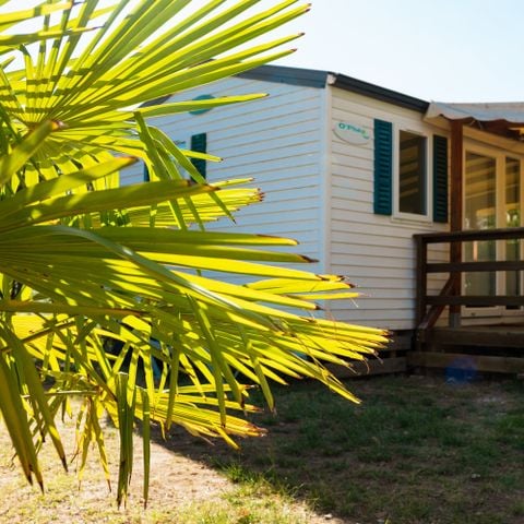 CASA MOBILE 6 persone - Casa mobile Team Essentiel , 3 camere da letto