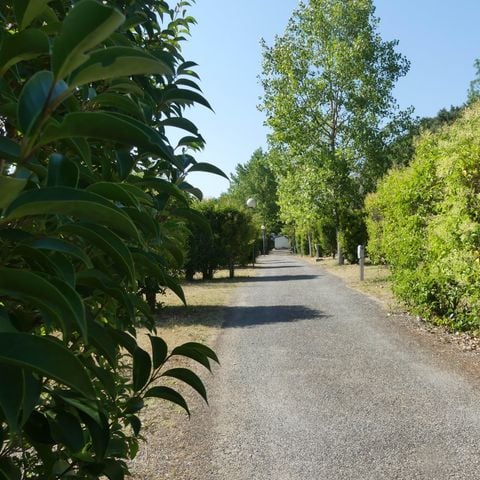 Stellplatz - Stellplatz ( Zelt, Wohnwagen oder Wohnmobil / 1 Auto)