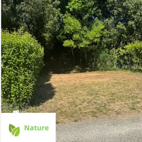 Pitch - Nature 5 amp pitch (tent, caravan or camper / 1 car)