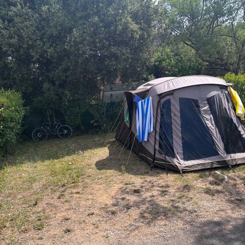 STAANPLAATS - Comfort standplaats 10 amp (tent, caravan of camper / 1 auto)