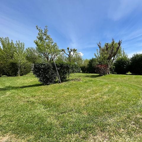 Pitch - Pitch + 1 car + electricity