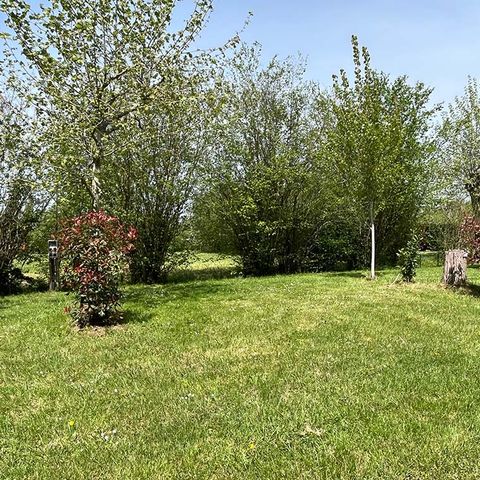 Pitch - Pitch + 1 car + electricity