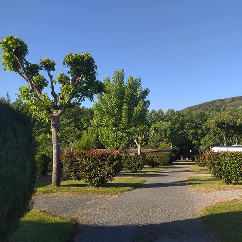 STAANPLAATS - Standplaats + 1 auto + elektriciteit