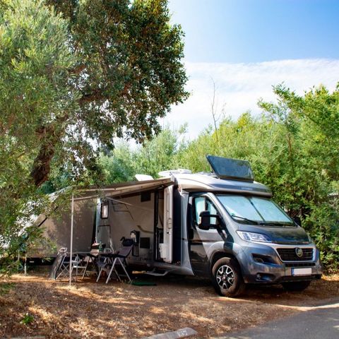 PLOT - Comfort: pitch + 1 vehicle + 6A electricity + drinking water fountain