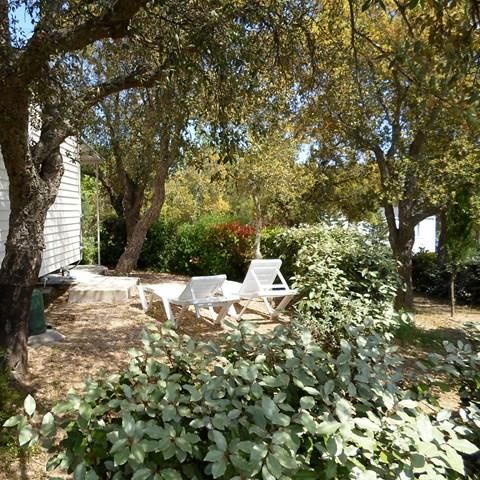 MOBILE HOME 5 people - 4/5 Cottage B Clim