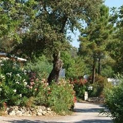 BUNGALOW 4 personnes - Privilège A - 2 chambres - 4 personnes