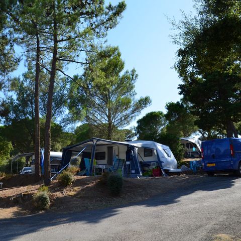STAANPLAATS - Caravan of vouwwagen/tent + auto