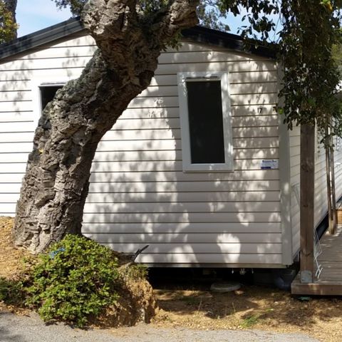 MOBILHOME 6 personnes - SUPER MERCURE Confort  5/6 pers