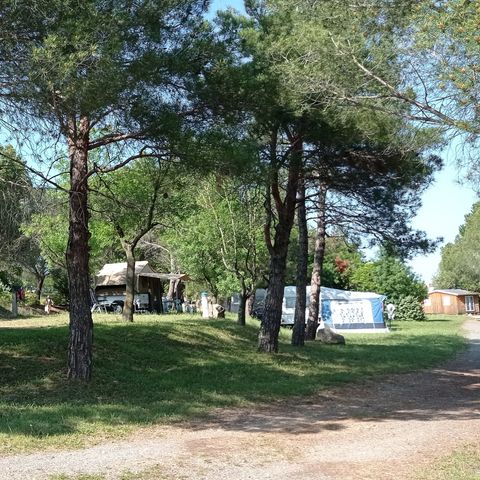 PARCELA - Parcela + 1 coche + tienda, caravana o autocaravana