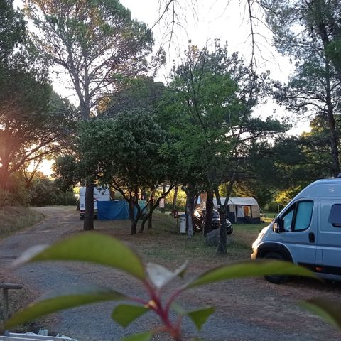 PARCELA - Parcela + 1 coche + tienda, caravana o autocaravana