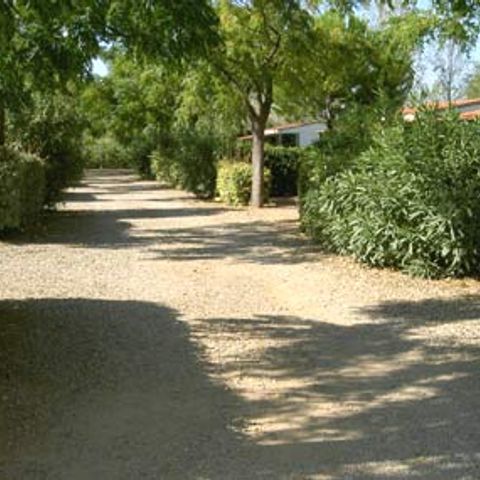 CHALET 4 persone - Chalet 25 m2