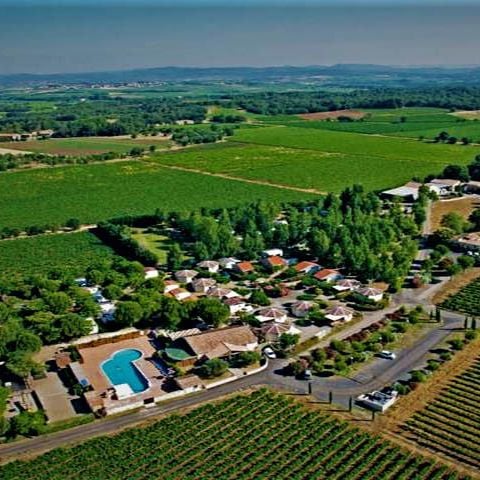 Domaine De Montrose - Camping Hérault - Image N°2