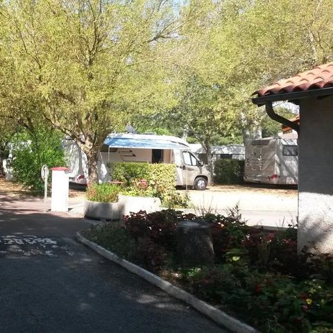 Pitch - Comfort package (1 tent or 1 caravan / 1 car / electricity)