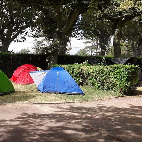 STAANPLAATS - Wandel- of fietsarrangement met tent