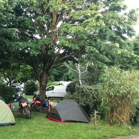Pitch - Comfort package (1 car + tent, caravan, van or motorhome + 10A electricity)