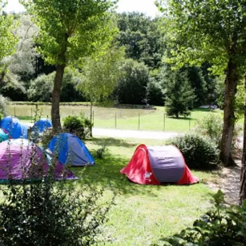 EMPLACEMENT - tente/ camping-car/ caravane - avec électricité 