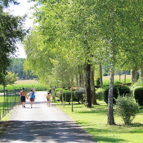 Camping l'Orée du Bois by Noricamp - Camping Pyrénées-Atlantiques - Image N°4