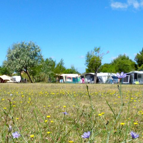 Kampeerplaats - Kampeerplaatsen voor tenten, campers of caravans