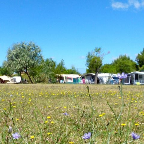STAANPLAATS - Kampeerplaatsen voor tenten, campers of caravans