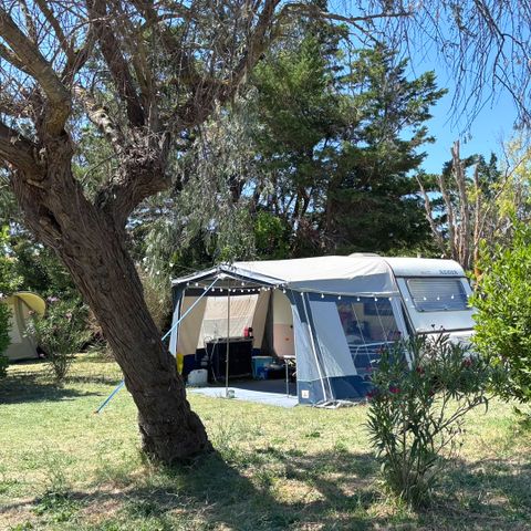 PLOT - Pitches for tents, motorhomes or caravans