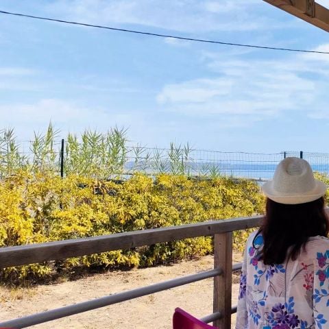 Stacaravan 4 personen - California Standaard 3 Kamers 4 Personen Airconditioning + TV