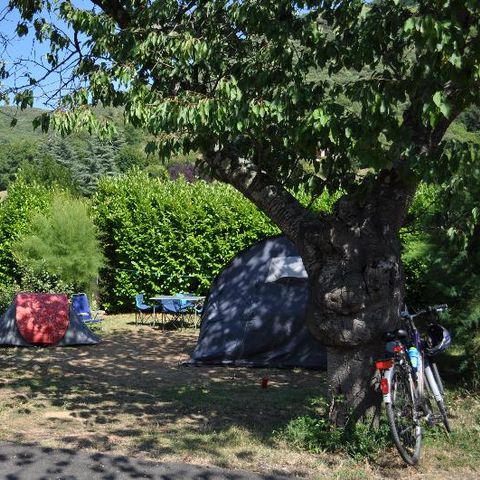 Pitch - car + 2 people (electricity optional)