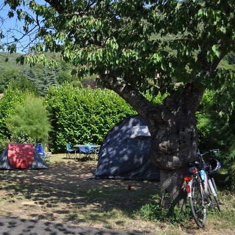 Stellplatz - Auto + 2 Personen (Strom optional)