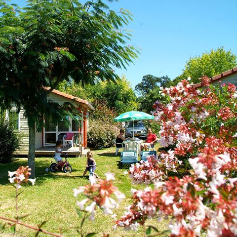 Chalet 5 personen - Cottage - 2 slaapkamers