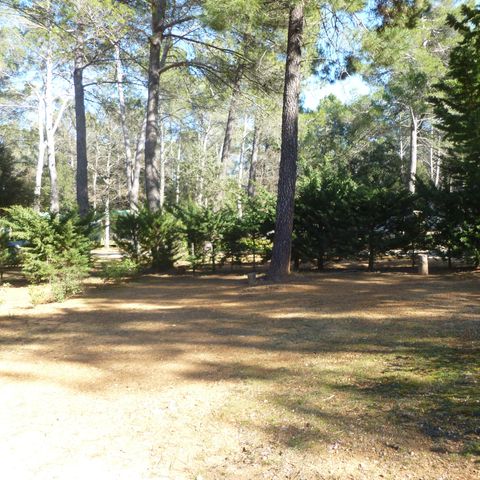 STAANPLAATS - Comfortpakket (1 tent, caravan of camper / 1 auto / 10A elektriciteit)