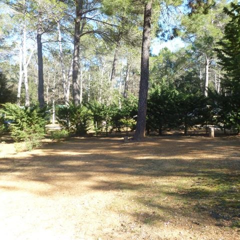 Stellplatz - Forfait Confort (1 Zelt, Wohnwagen oder Wohnmobil / 1 Auto / Strom 10A)