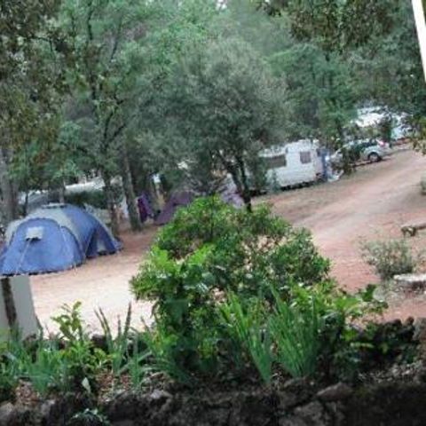 Kampeerplaats - Formule XL-plaats (1 tent, caravan of camper / 1 auto / 10A elektriciteit)