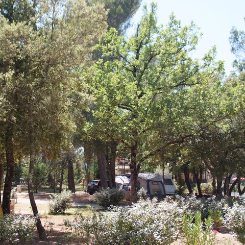 Stellplatz - Pauschale Stellplatz XL (1 Zelt, Wohnwagen oder Wohnmobil / 1 Auto / Strom 10A)