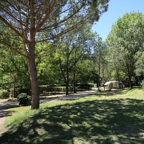 PIAZZOLA - Posizione