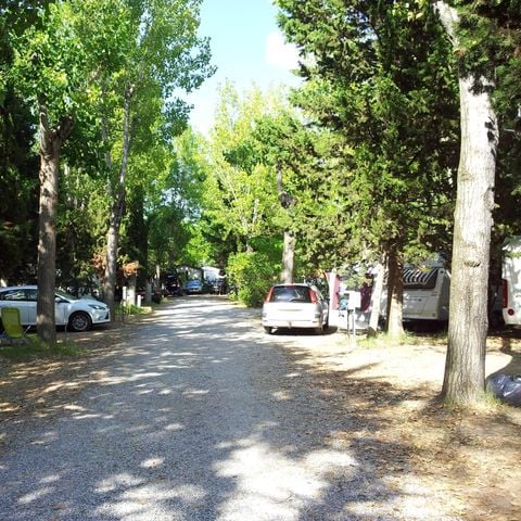 Piazzola - Comfort: pacchetto per 1 o 2 pers. - elettricità 10 A -1 auto, 1 piazzola, (4 adulti max)- Accesso alla discarica