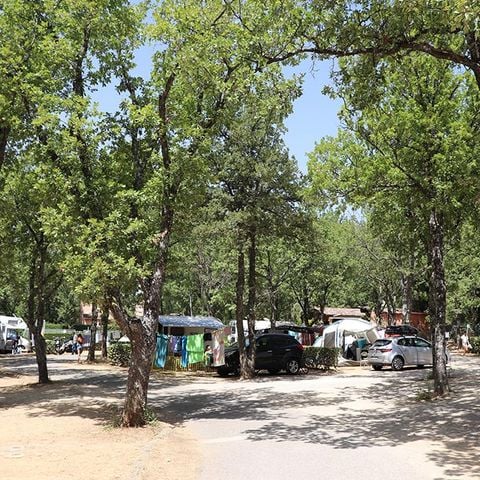 PARCELA - Paquete confort (1 tienda, caravana o autocaravana / 1 coche / electricidad 16A)