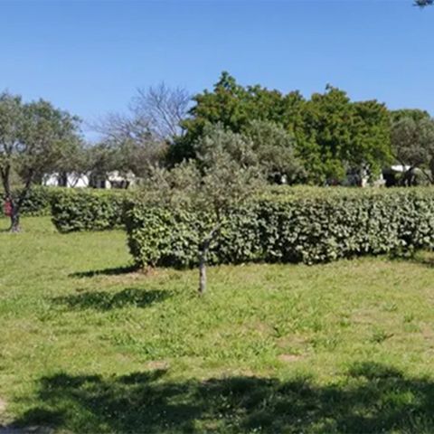 PLOT - Comfort package (1 tent, caravan or motor home / 1 car / 16A electricity)