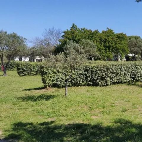 EMPLACEMENT - Forfait Confort (1 tente, caravane ou camping-car / 1 voiture / électricité 16A)