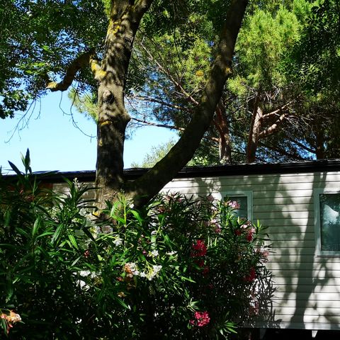 BUNGALOW 6 personnes - PREMIUM - 3 chambres - CLIM - TV - LV