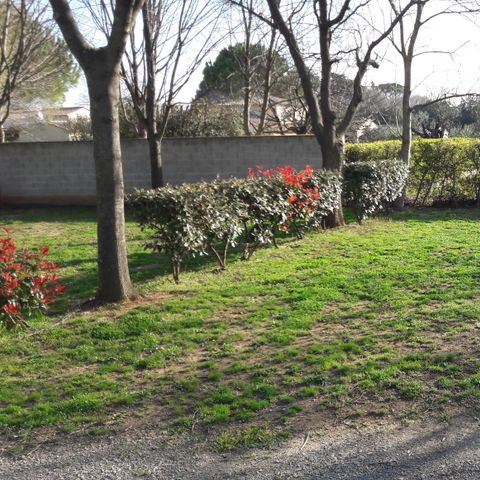 STAANPLAATS - Privilegepakket: rustige en zeer schaduwrijke standplaats met elektriciteit