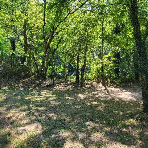 Stellplatz - Nackter Stellplatz