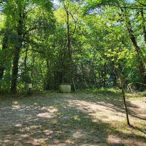 PARCELA - Paso desnudo